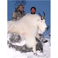 Mountain Goat Hunt