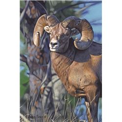 “THE WARRIOR” GICLEE JOSHUA SPIES