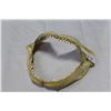 Image 1 : LEMON SHARK JAW