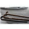 Image 1 : THREE WALKING CANES