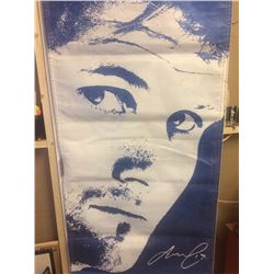 SIGNED MARKUS NASLUND BANNER