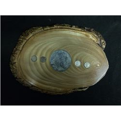 FRAMED NATIVE NICKEL HEADS