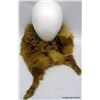 Image 1 : FOX SHOAL