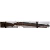 Image 1 : AIR RIFLE