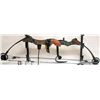 Image 2 : MARTIN COMPOUND BOW