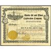Image 1 : Alaska Oil and Mines Exploration Co. 1903 Issued Stock