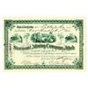 Image 1 : Stormont Mining Co. of Utah, 1887, Issued Stock.