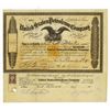 Image 1 : United States Petroleum Co., 1871 Issued Stock