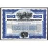 Image 1 : Beech Creek Extension Railroad Co. 1905 Specimen Bond..