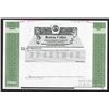 Image 1 : Boston Celtics Limited Partnership Interest, ca.1990-2000 Specimen