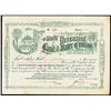 Image 1 : South Riverside Land and Water Co., 1895 Issued Stock