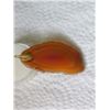 Image 2 : NECKLACE - AGATE SLICE - 2.5"