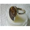 Image 2 : RING - CUSTOM DESIGNED AMMONITE IN STERLING SILVER SETTING - APPROX. 1 X 1" - STAMPED 925 -  RETAIL 