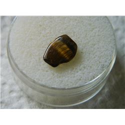 POLISHED FREE FORM GEMSTONE - TIGERS EYE