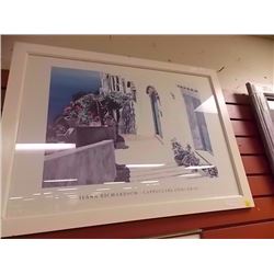 FRAMED PICTURE