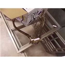 SET OF ANTLERS
