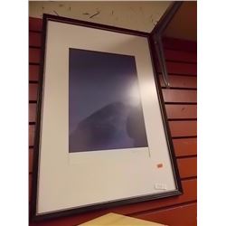 FRAMED PICTURE