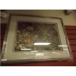 FRAMED LIMITED EDITION PRINT - TERRITORIAL DISPUTE - WRENS - ALAN HUNT - ESTIMATED GALLERY PRICE $42