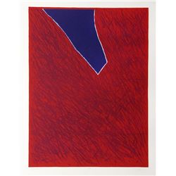 Bruce Porter, Lithograph