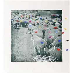 Menashe Kadishman, Sheep Portfolio 3, Serigraph and Etching