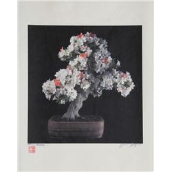 Jonathan Singer, Bonsai #3, Digital photo