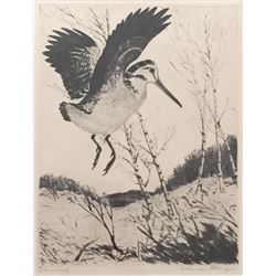Churchill Ettinger, Wood Duck, Etching