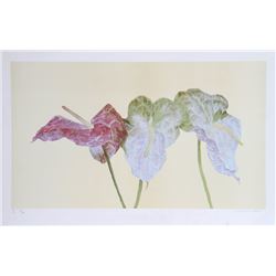 Carol Ann Bolt, Botanical, Lithograph