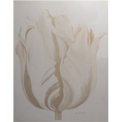 Lowell Blair Nesbitt, Sepia Parrot Tulip, Lithograph