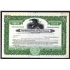 Image 1 : First National Bank and Trust Co. ND (ca.1920-30's) Specimen Stock Certificate.