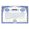 Image 1 : Kurzweil Applied Intelligence, Inc., 1996 Specimen Stock Certificate