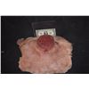 Image 1 : ZZ-CLEARANCE SEVERED SILICONE HEAD STUMP 1