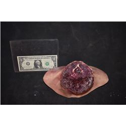 ZZ-CLEARANCE SEVERED SILICONE HEAD STUMP 2