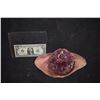 Image 1 : ZZ-CLEARANCE SEVERED SILICONE HEAD STUMP 2