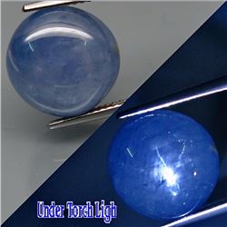 17.26Ct. 6 Rays Cornflower Blue  Star Sapphire