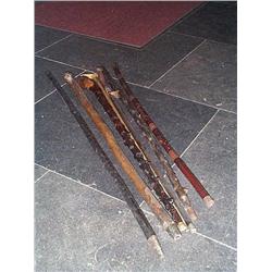 A COLLECTION OF WALKING STICKS, 19th/20th CENTURY, including an Oriental decorated bamboo example; a
