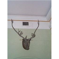 TWO LATE VICTORIAN MOUNTED REINDEER HEADS, LATE 19th CENTURY. (2), e50/100...