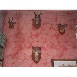 A SET OF EIGHT MAHOGANY AND BRASS-INLAID DINING CHAIRS, IN REGENCY STYLE, LATE 20th CENTURY, includi