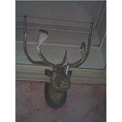 Two VICTORIAN MOUNTED reindeer HEADs, LATE 19th CENTURY; and another head. (3), e100/200...