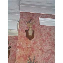 A PAIR OF LATE VICTORIAN MOUNTED ROE DEER HEADS, LATE 19th CENTURY, looking left and right. (2), e..