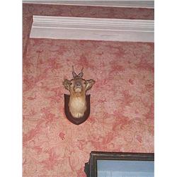 A SIMILAR LOT, LATE 19th CENTURY. (2), e100/200...