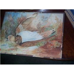 A STACK OF WATERCOLOURS AND PRINTS, including a study of a dead plover. (a lot), e30/50...