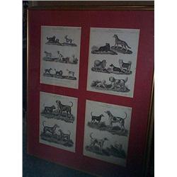 A QUANTITY OF MULTIPLE FRAMED ENGRAVINGS OF BIRDS AND ANIMALS,, from a 19th Century encyclopaedia...