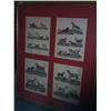 Image 1 : A QUANTITY OF MULTIPLE FRAMED ENGRAVINGS OF BIRDS AND ANIMALS,, from a 19th Century encyclopaedia...