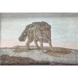 AN ITALIAN SHELL PICTURE,, EARLY 19th CENTURY, inscribed 'Lupocervo', framed, 64cms x 47cms., ...