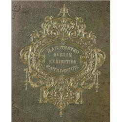 WRIGHT: Ireland, Illustrated, from original drawings by G. Petrie,, W.H. Bartlett and D.M. Baine...