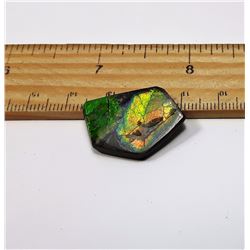 GREEN FIRE AMMOLITE GEMSTONE