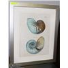 Image 1 : FRAMED SHELL PRINT 34X28