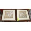 Image 1 : PAIR OF FRAMED FLOWER PRINTS 17X17