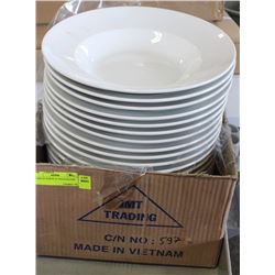CASE OF 20 NEW 12" PASTA PLATES
