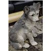Image 1 : ANIMAL CLASSIC'S CC-804 WOLF CUB STATUE MADE IN